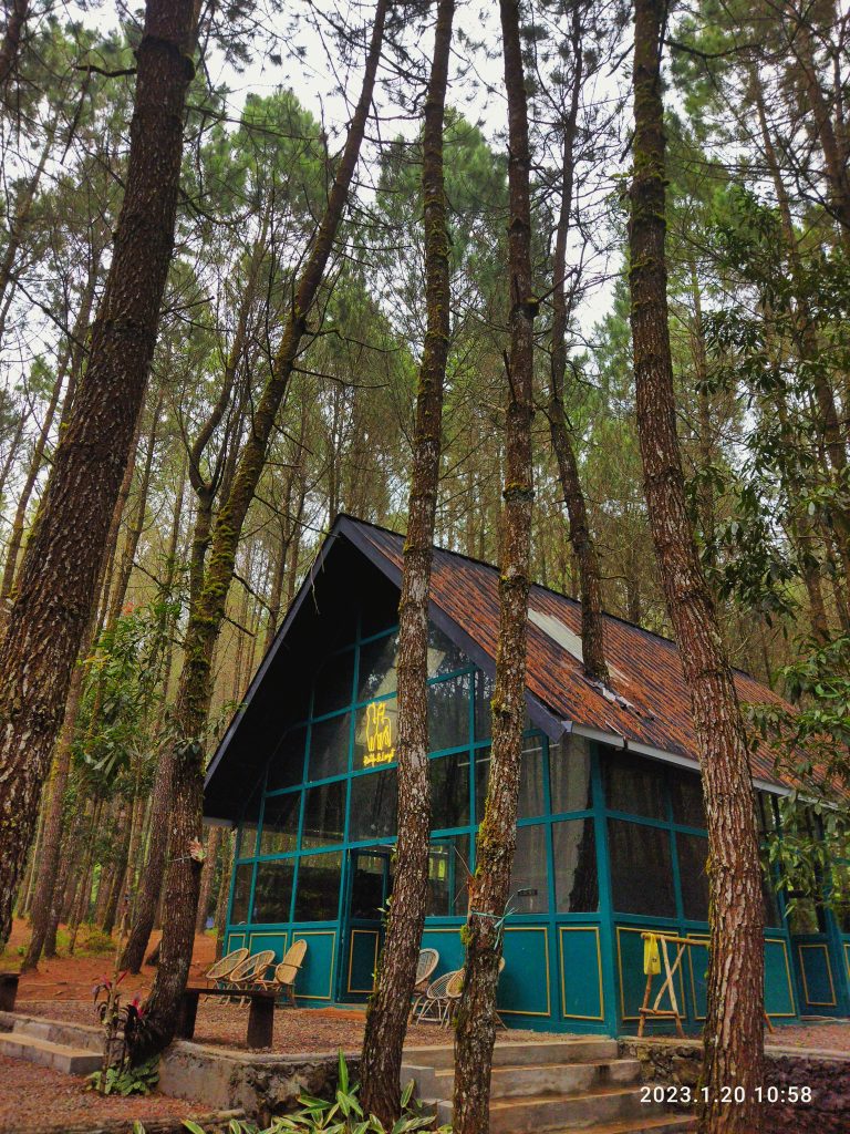 Photo by Adhitya Sulistyo Manggala