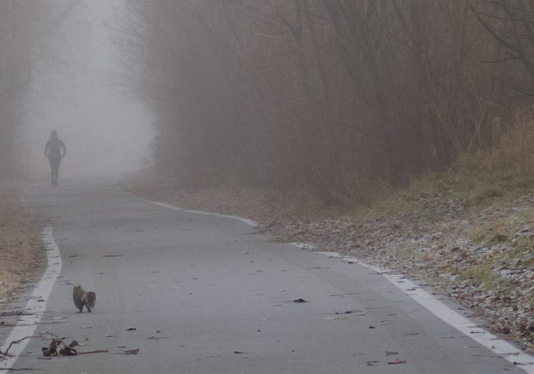 Street photo in Whiting, United States by David Sheppard