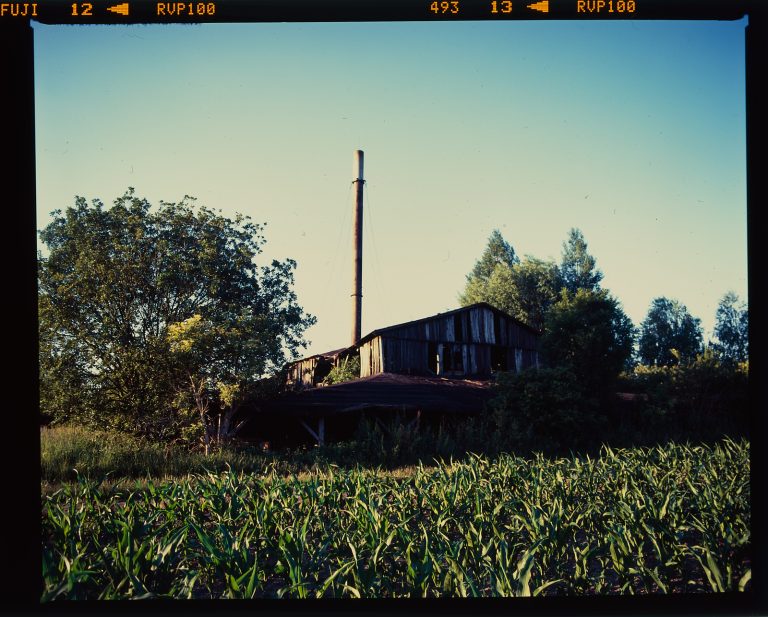 Photo by Szymon Wolder