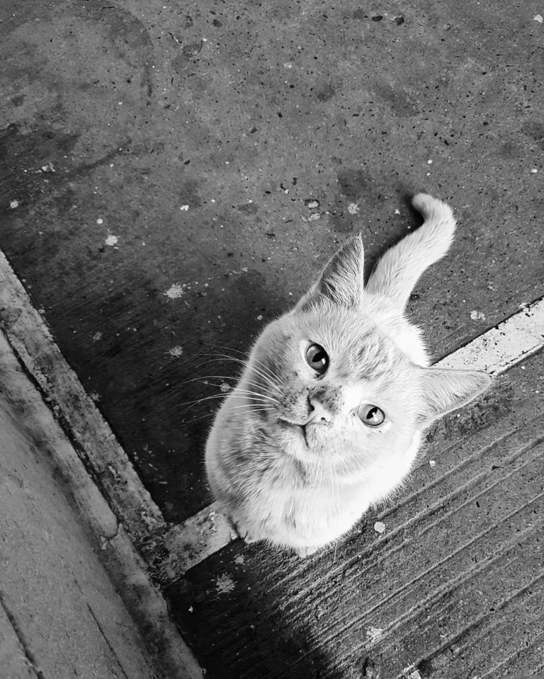 Street photo in Tijuana, Mexico by Florencio Cortez