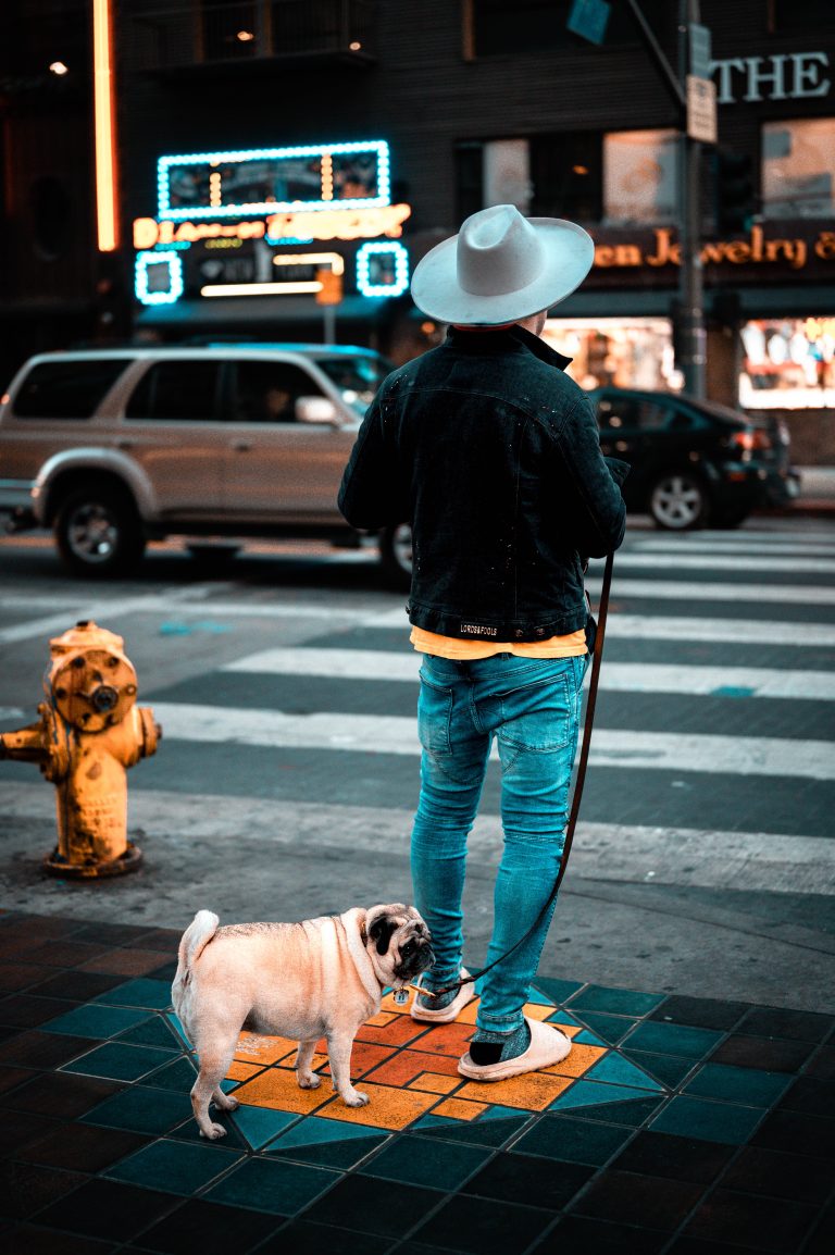 Street photo in Los Angeles, United States by Thane Gustafson