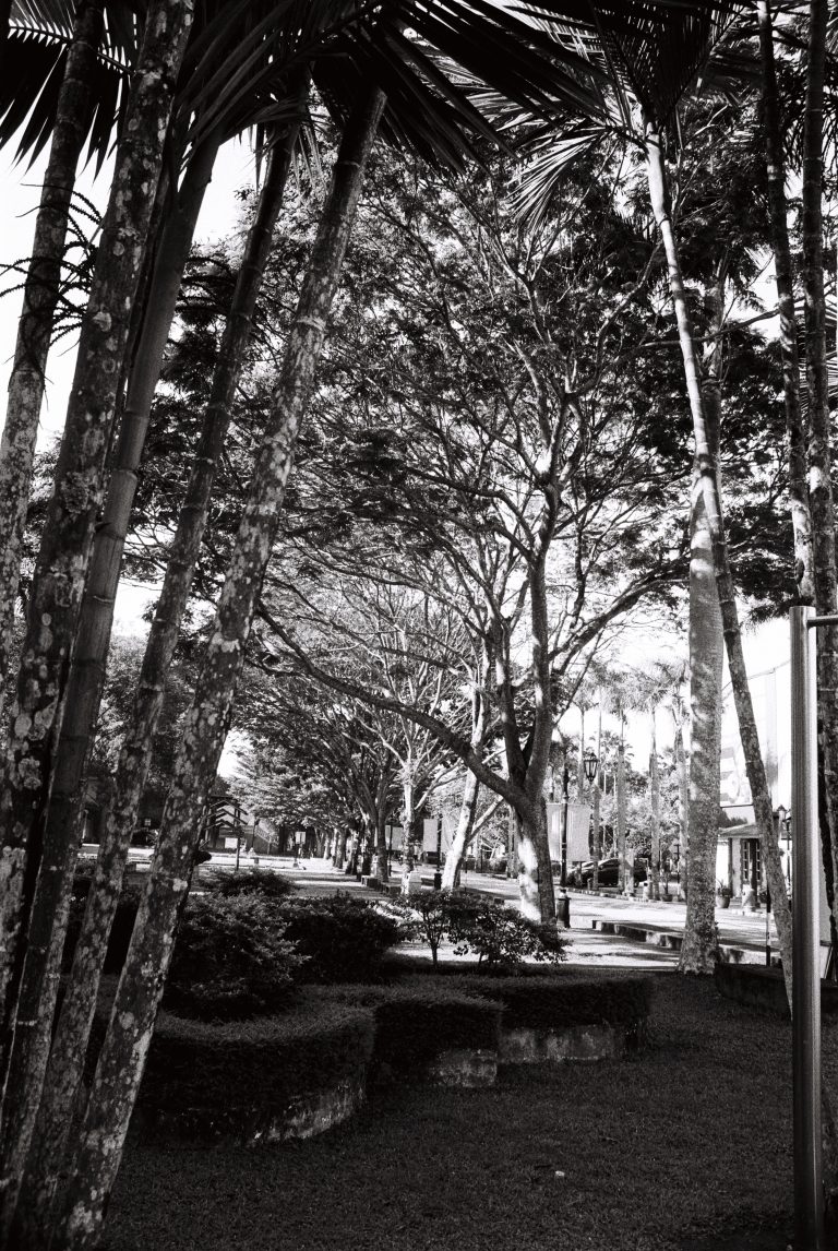 Photo by Jaifaidzal Sf