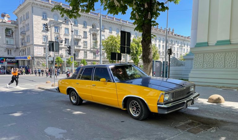Photo by Sugar Bulgarian