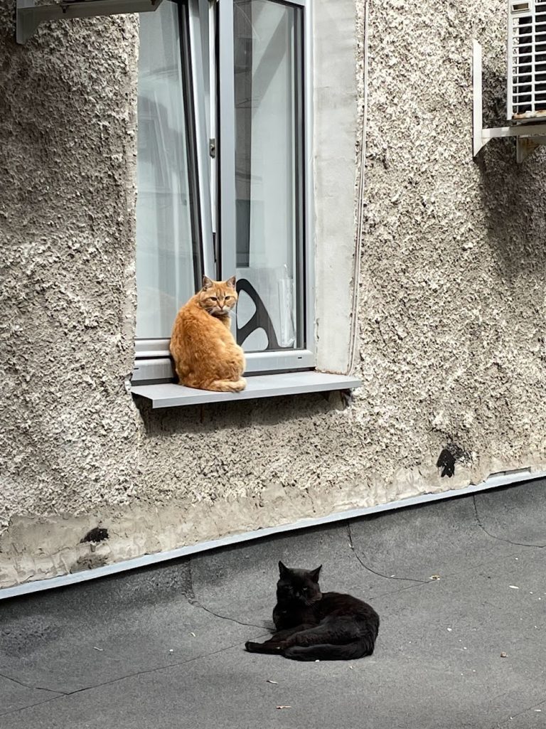 Photo by Sugar Bulgarian