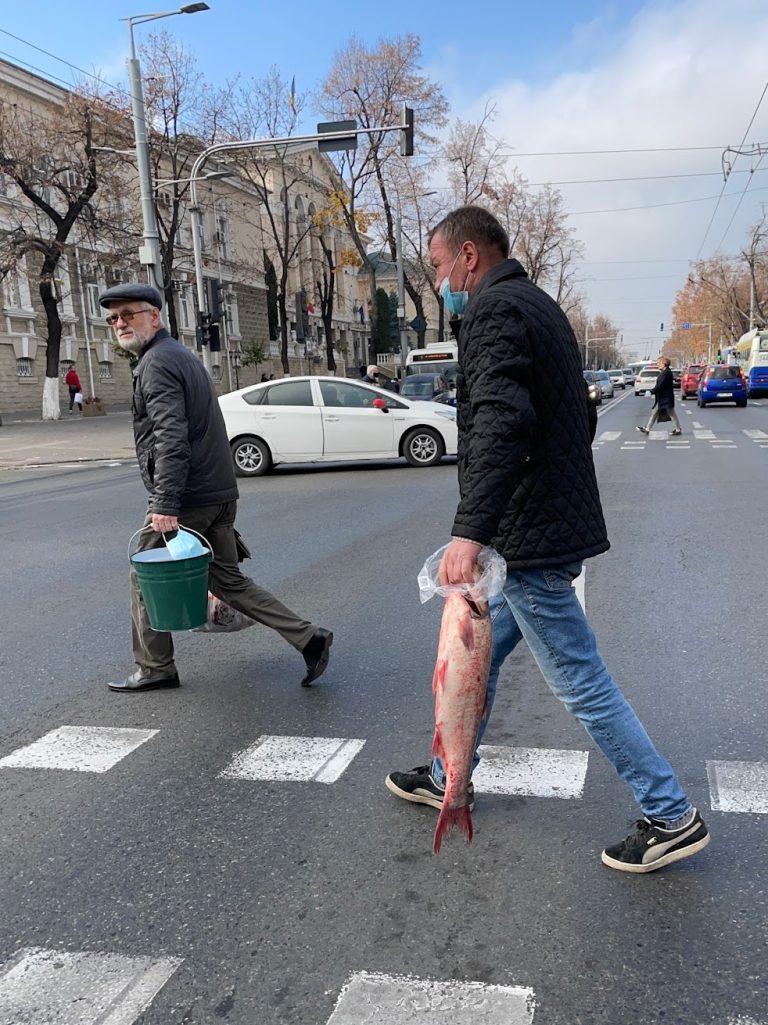 Photo by Sugar Bulgarian
