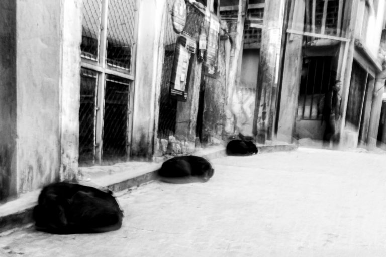 Street photo in Santa Catarina Palopó, Guatemala by Duncan Aitken