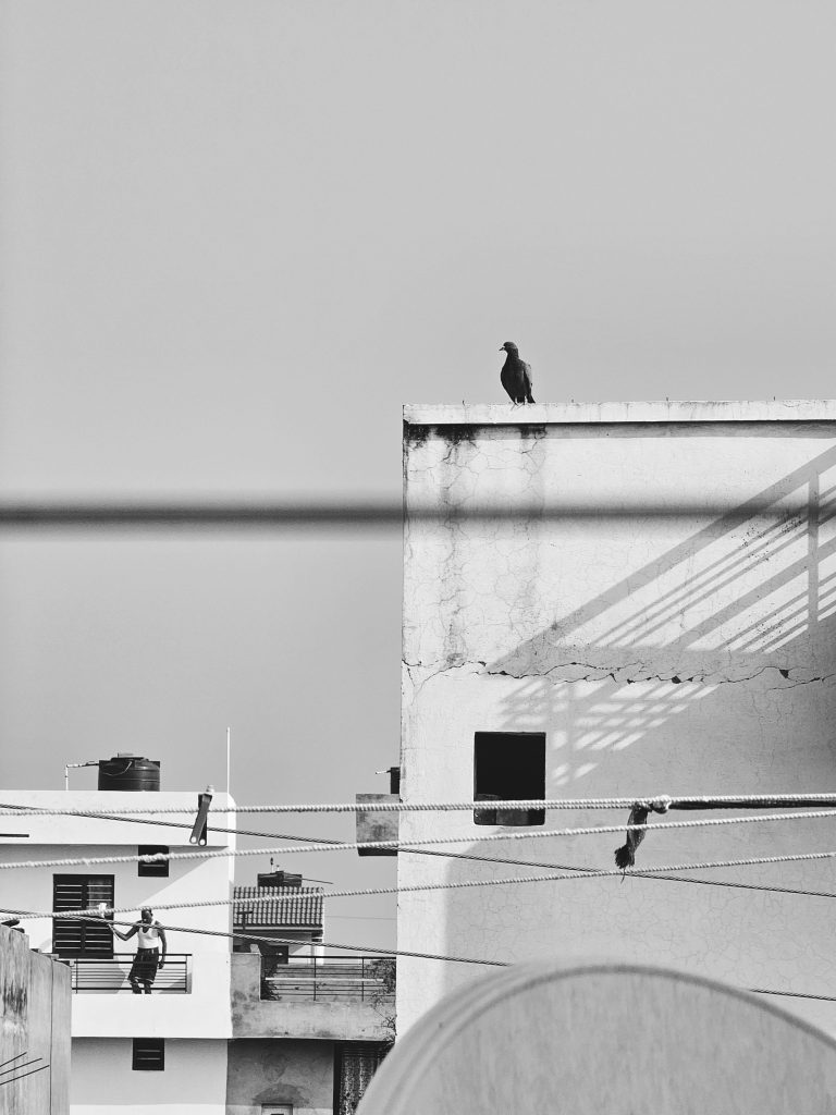Street photo in Patiala, India by Aman Thakur