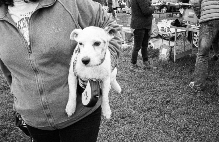 Street photo in Brixham, United Kingdom by Will Maker