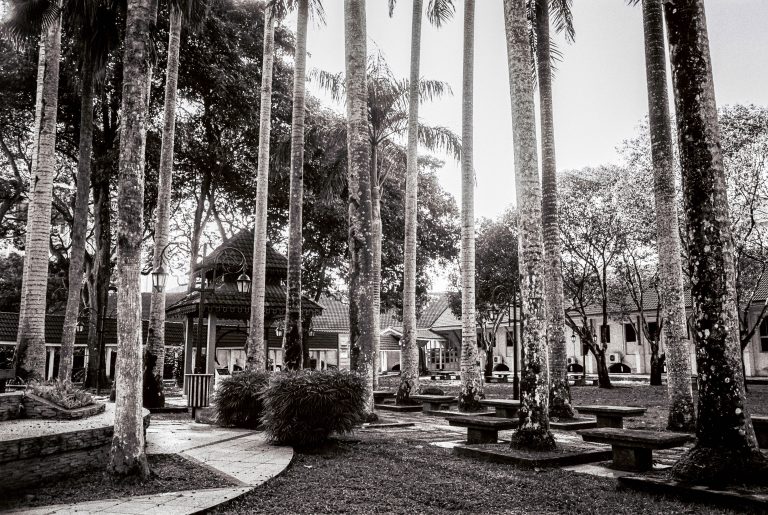 Photo by Jaifaidzal Sf