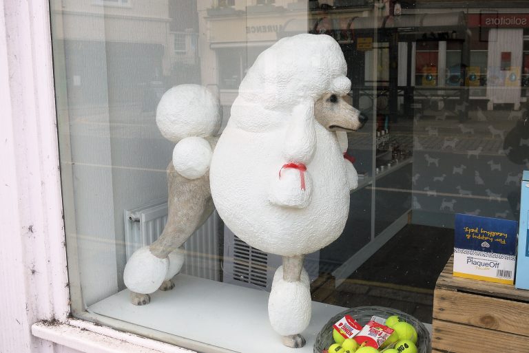 Street photo in Ware, United Kingdom by Terry Whitworth