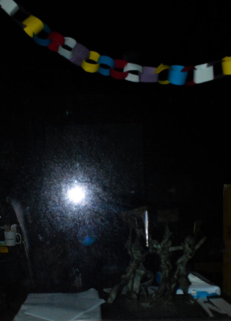 Photo by Douglas Rike