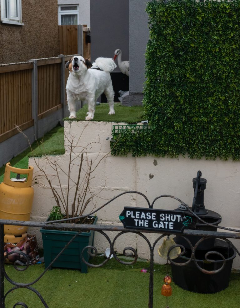 Street photo in Clacton-on-Sea, United Kingdom by Robin Catterick