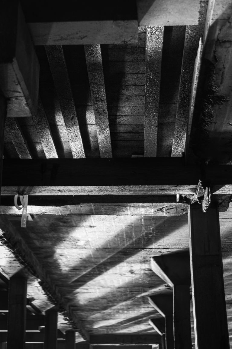 Photo by Robin Catterick