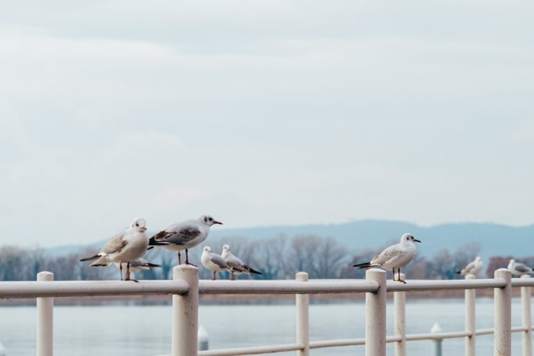 Photo by Marvin Arlt