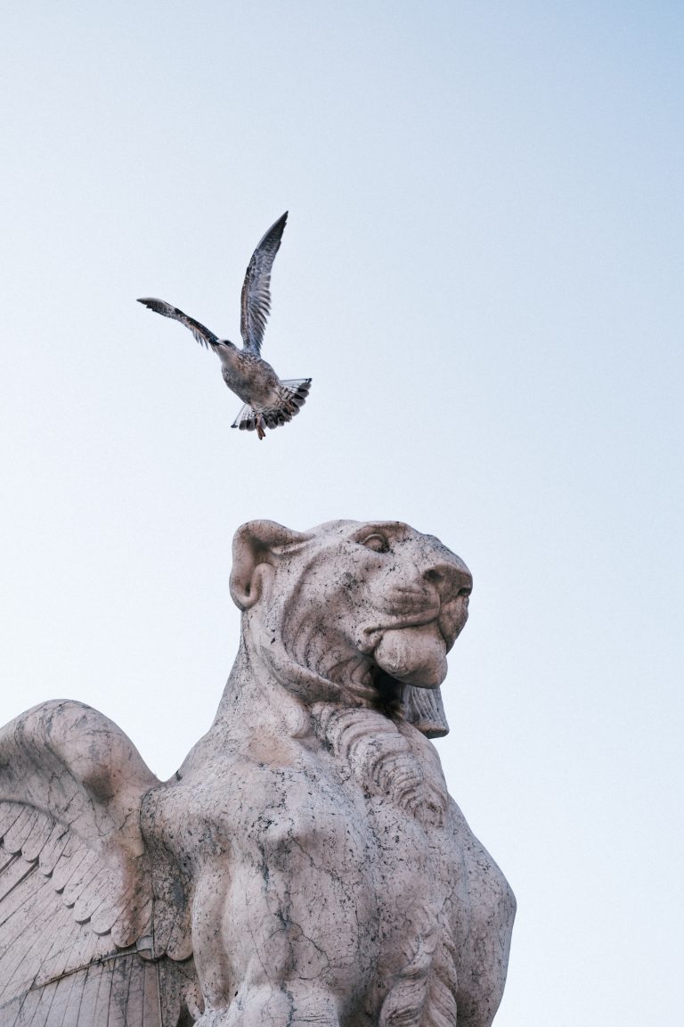 Photo by Marvin Arlt