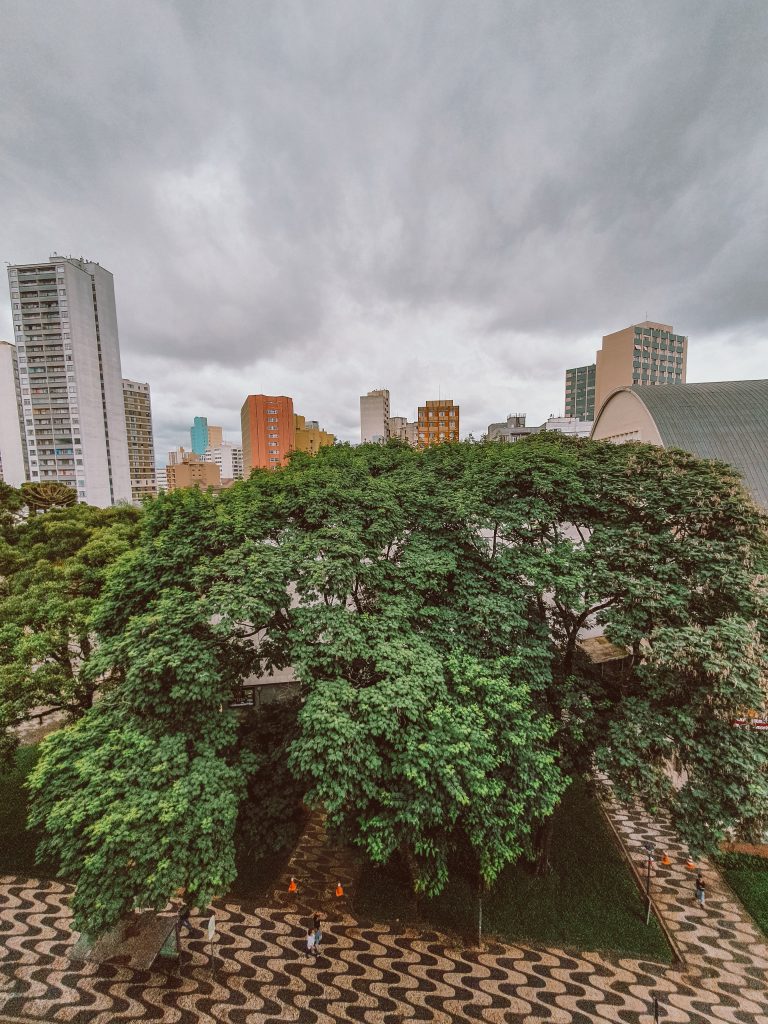 Photo by João Marcelo Bordin