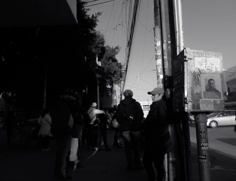 Photo by Esteban Rodriguez