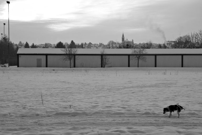 Street photo in Giessen, Germany by Alexander Philipps