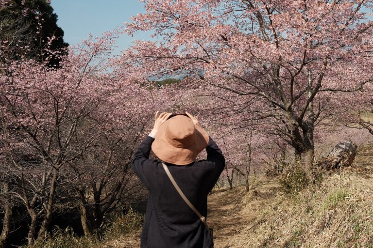 Street photo in Oita, Japan by Ken Pug