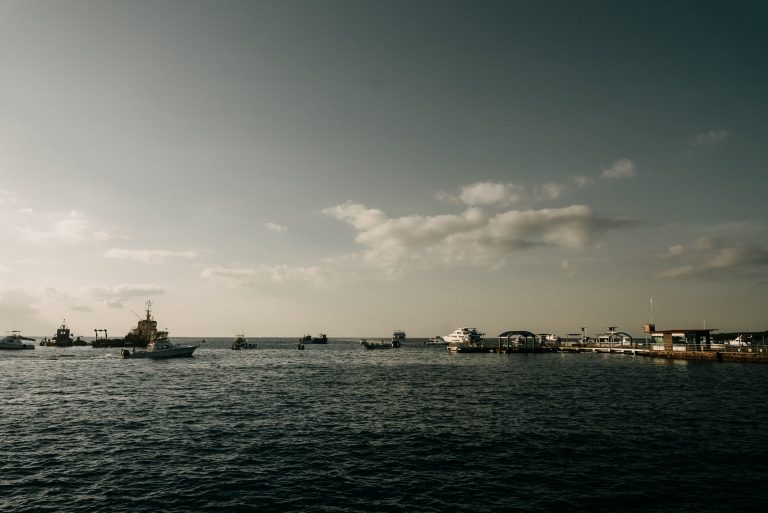 Photo by Gabriel Andrade