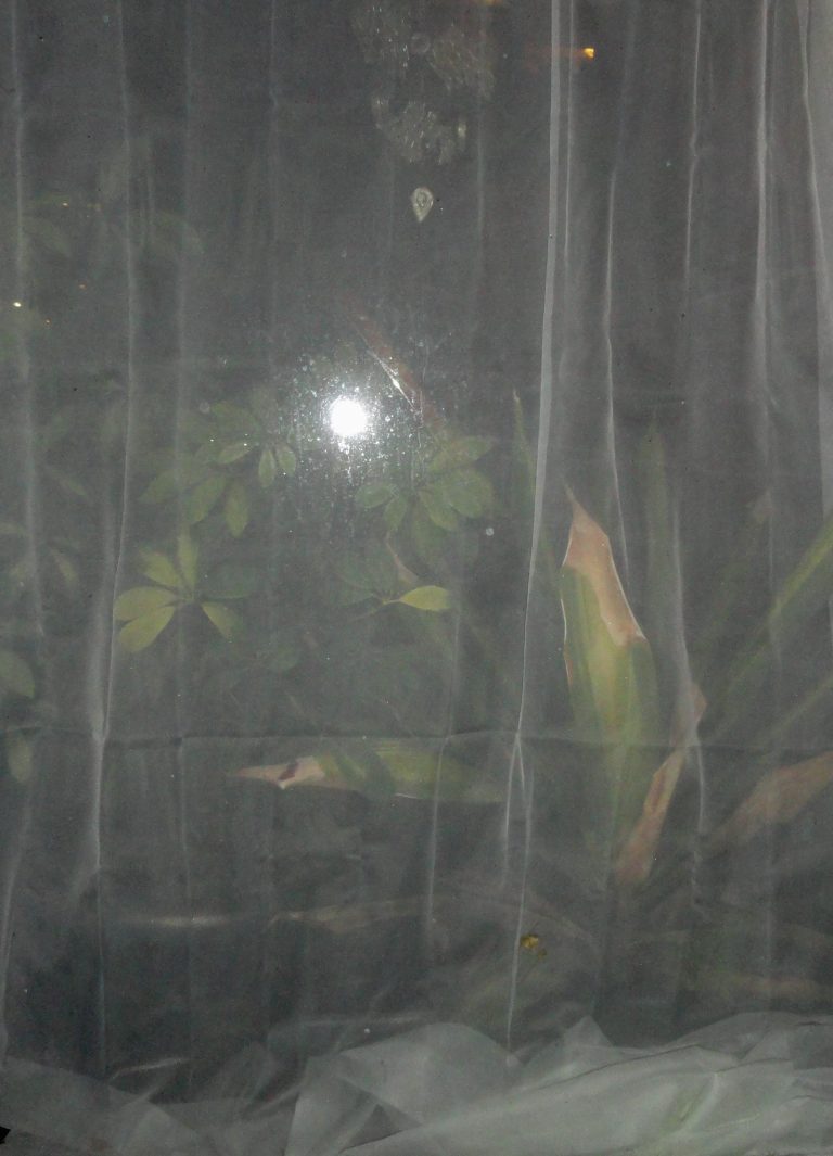 Photo by Douglas Rike