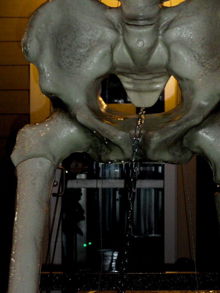 Photo by Douglas Rike