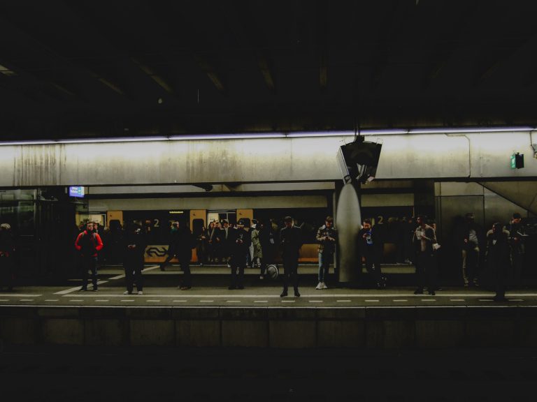 Photo by Rein Bolhuis