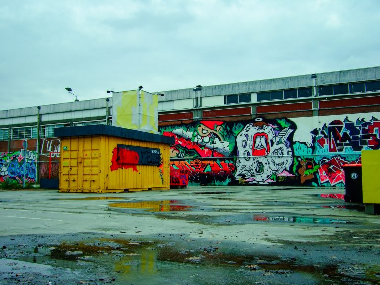 Photo by Rein Bolhuis