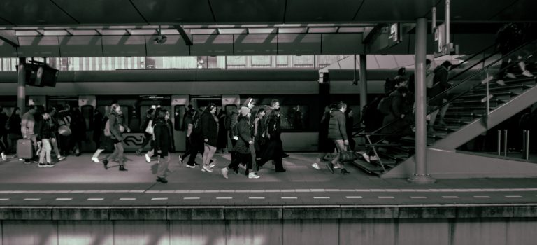 Photo by Rein Bolhuis