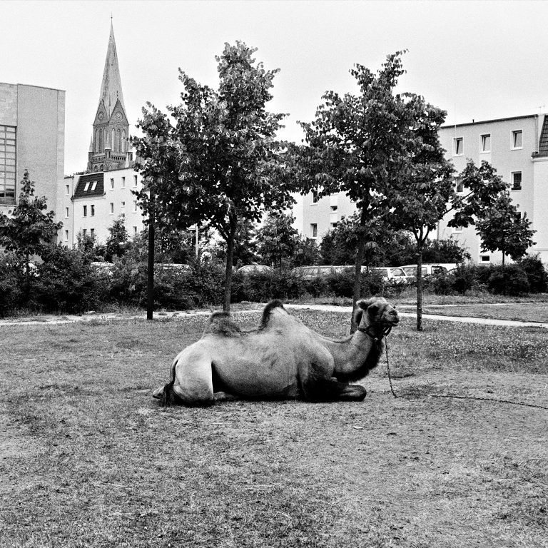 Street photo in Schwerin, Germany by Alexander Philipps