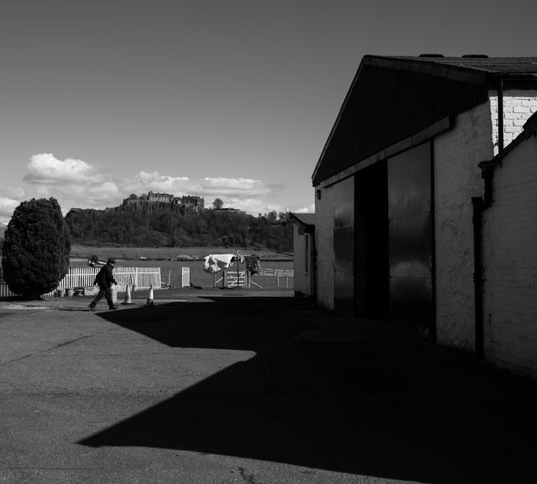 Street photo in Stirling, United Kingdom by Dennis Ramone