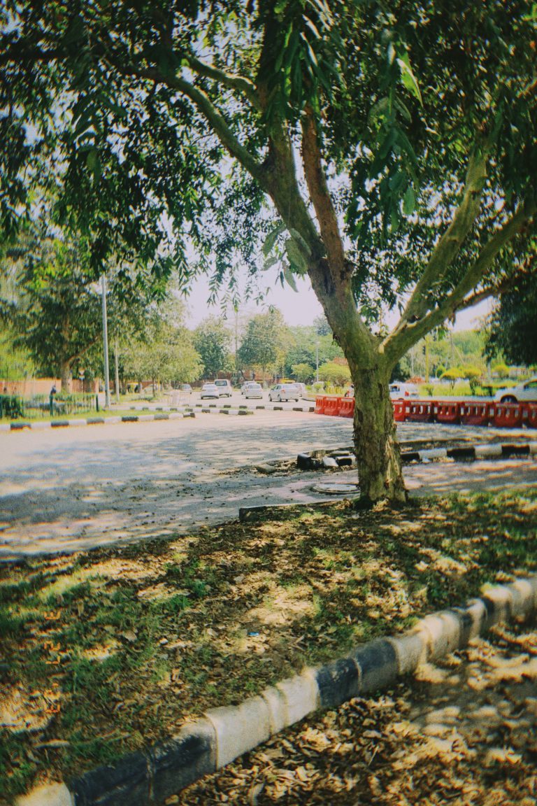 Street photo in Chandigarh, India by Paarth Gupta