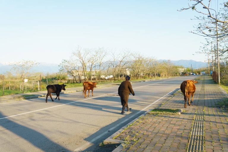 Street photo in Kobuleti, Georgia by Alexander Vinnik