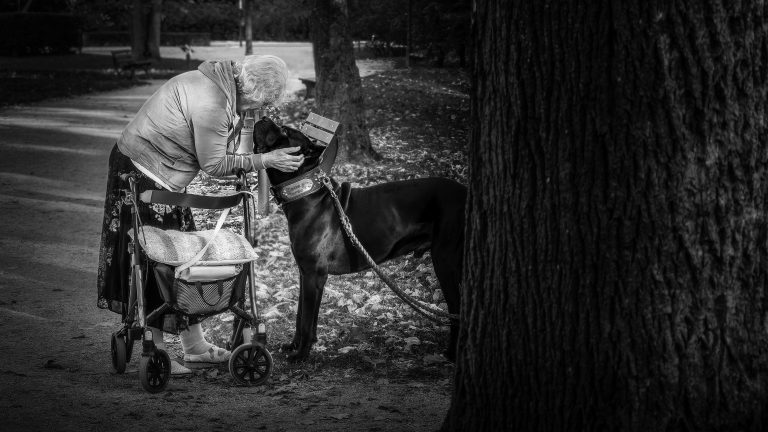 Street photo in Germany by Renato Dehnhardt