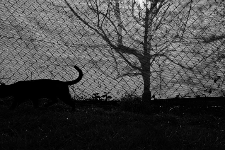 Street photo in Wernberg-Köblitz, Germany by Alexander Philipps