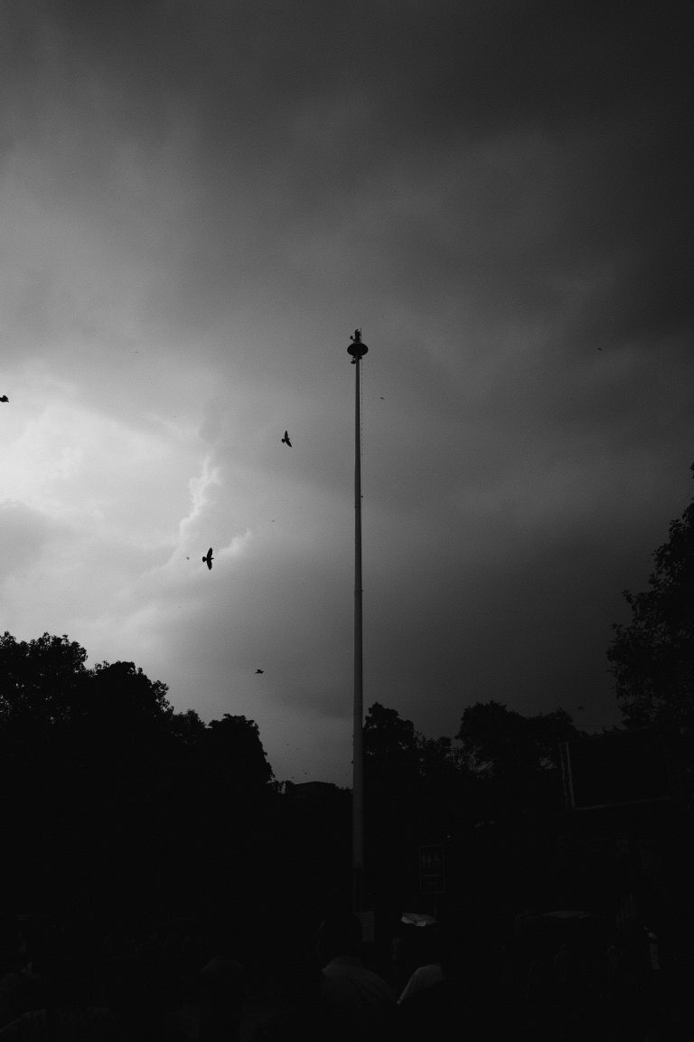 Photo by Gagan Verma