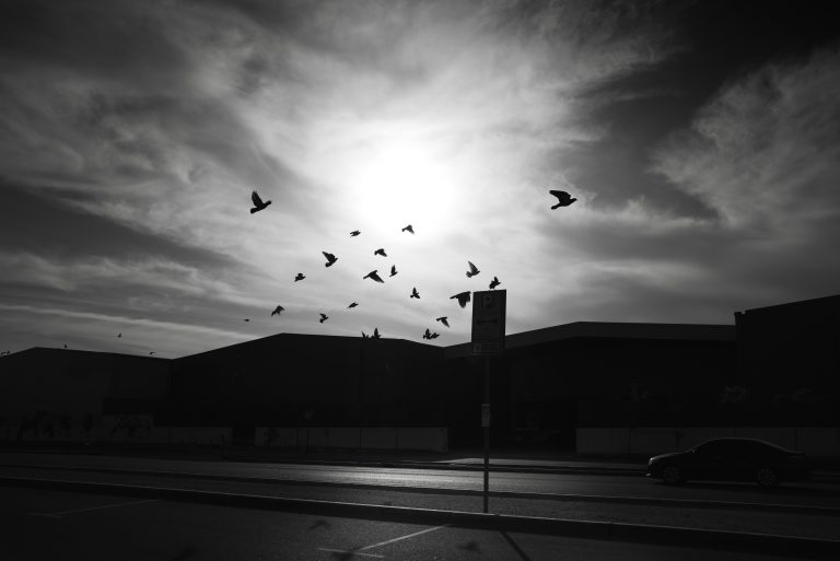 Photo by Kusal Udhara