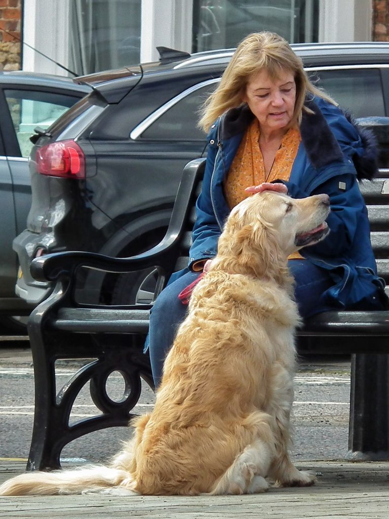 Street photo in Northamptonshire, United Kingdom by Andy Edward