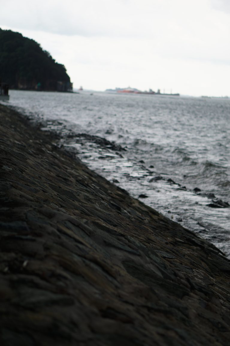 Photo by Cody ..
