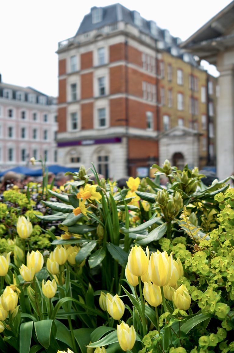 Street photo in London, United Kingdom by Warren Ralls