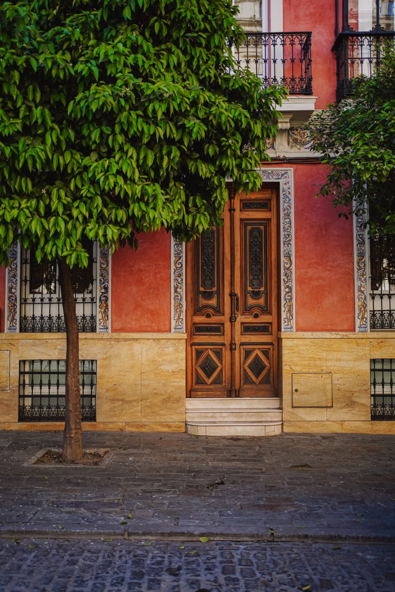 Photo by Diogo Carvalho