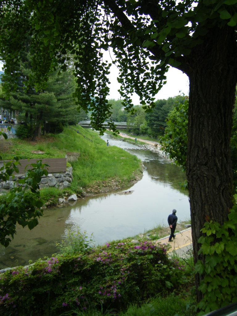 Street photo in Gwacheon, South Korea by Youngseok Song