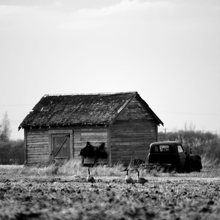 Street photo in Brunkild, Canada by Mike Carter