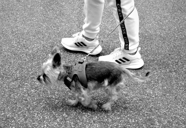 Street photo in Germany by Christian Schardt
