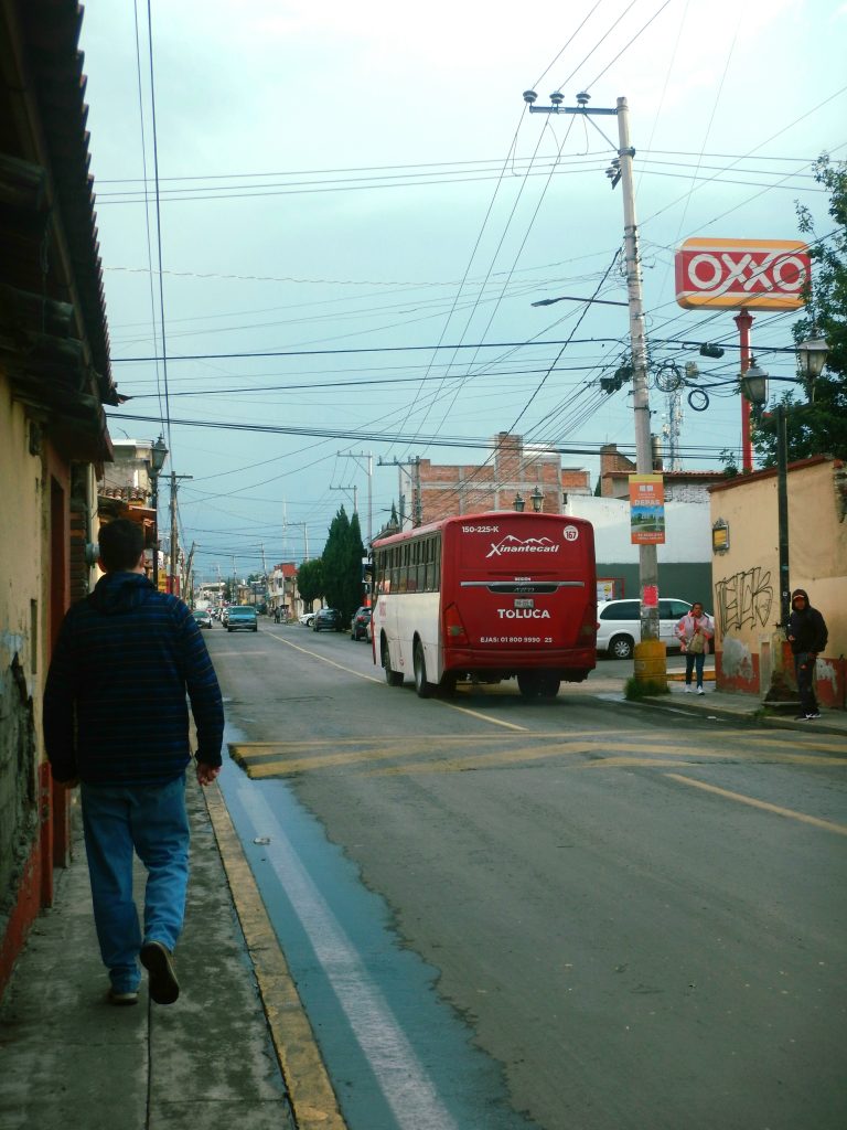 Street photo in San Miguel Zinacantepec, Mexico by Diego Binder