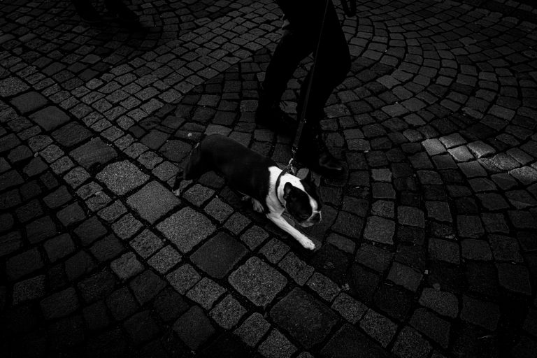 Street photo in Marburg, Germany by Harry Achromat