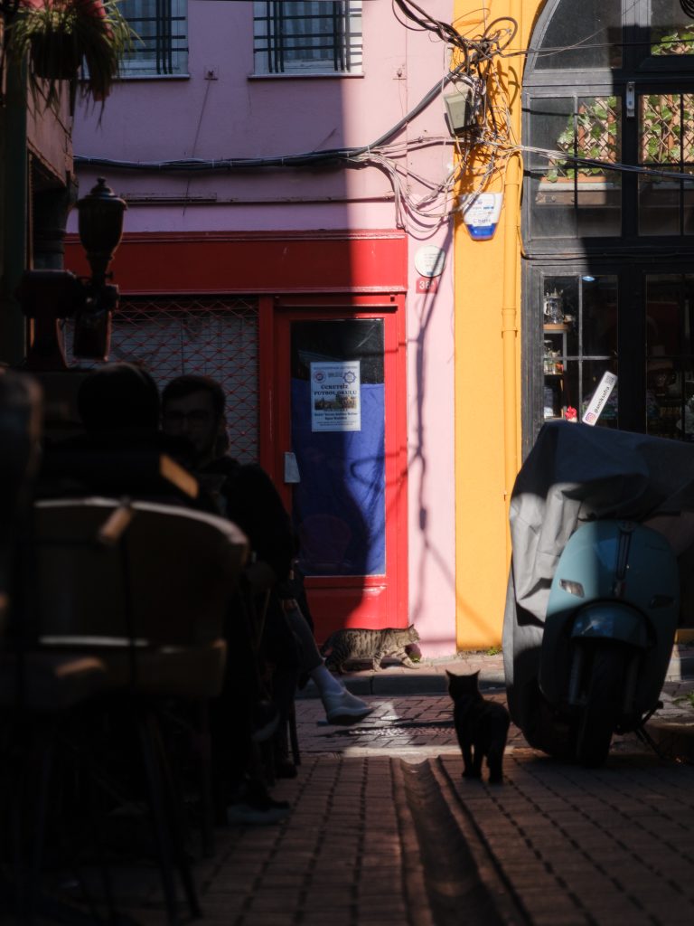 Photo by Anton Suslov