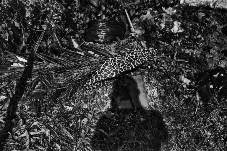 Photo by Luis-miguel Torres