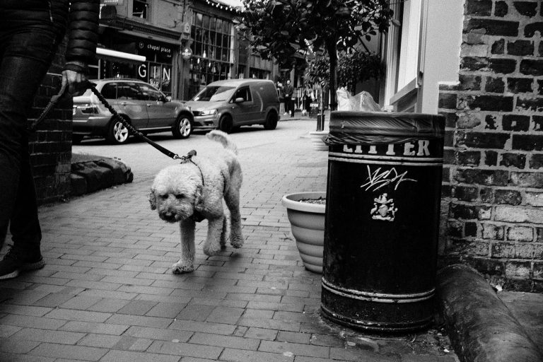 Street photo in Royal Tunbridge Wells, United Kingdom by Ben Cooke