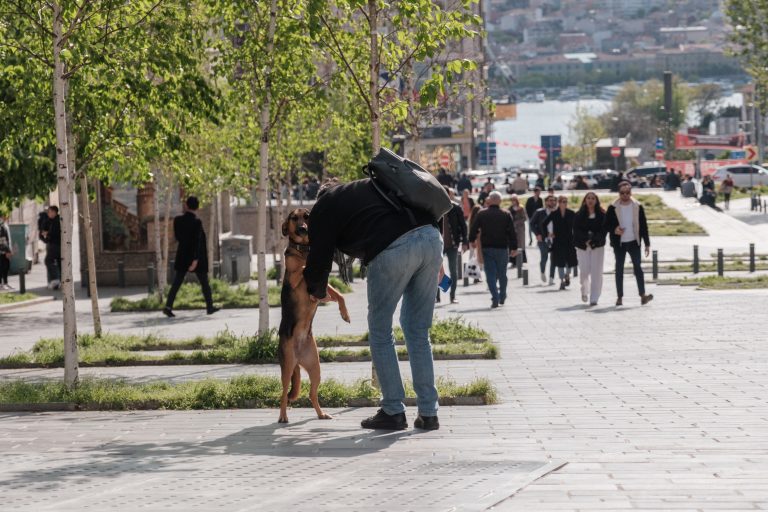 Photo by Anton Suslov